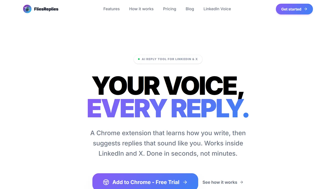 FliesReplies