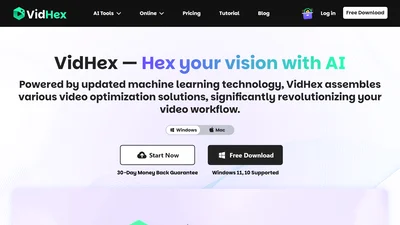 VidHex