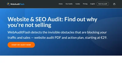 WebAuditFlash