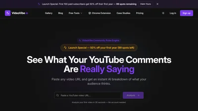 VideoVibe.io