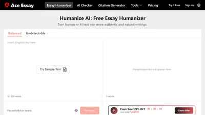 ACE ESSAY