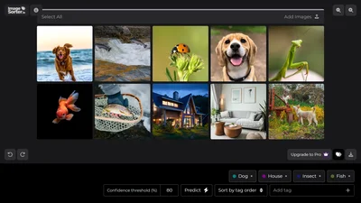 ImageSorter