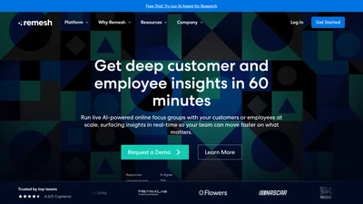 Remesh