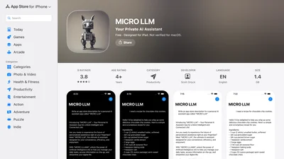 MICRO LLM